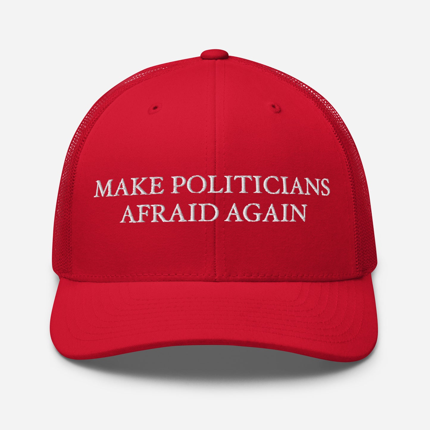 MAKE POLITICIANS AFRAID AGAIN